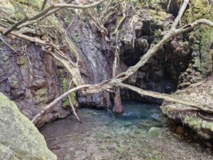 Baths of Aphrodite natural pool and woodland in Cyprus