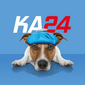 Klimaalarm24