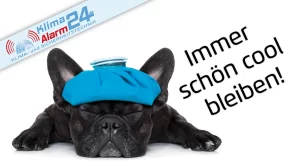 Klimaalarm24