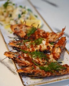 2 Fat Greeks – Kalostous