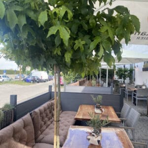 Restaurant Olympia – Kalostous