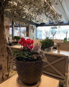 Restaurant Poseidon – Kalostous