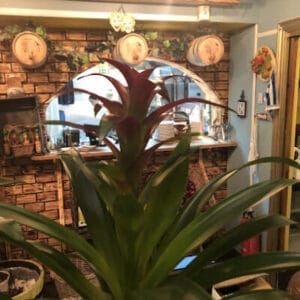 Klimataria Taverna – Kalostous