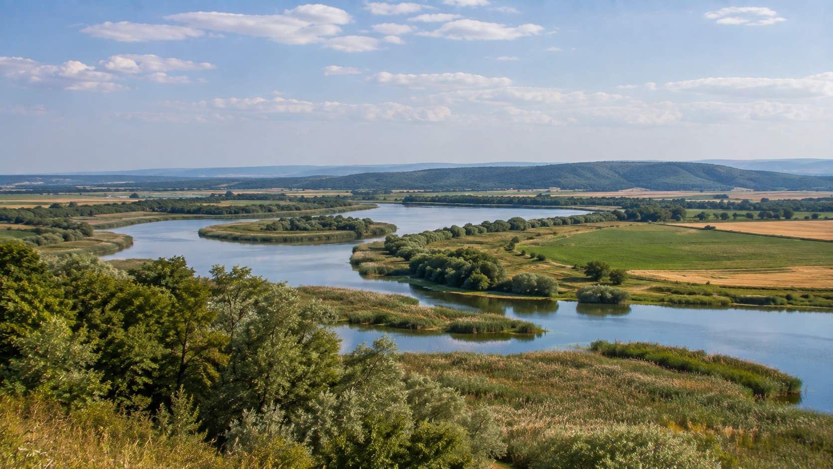 River wetlands and green plains landscape of Evros, Greece