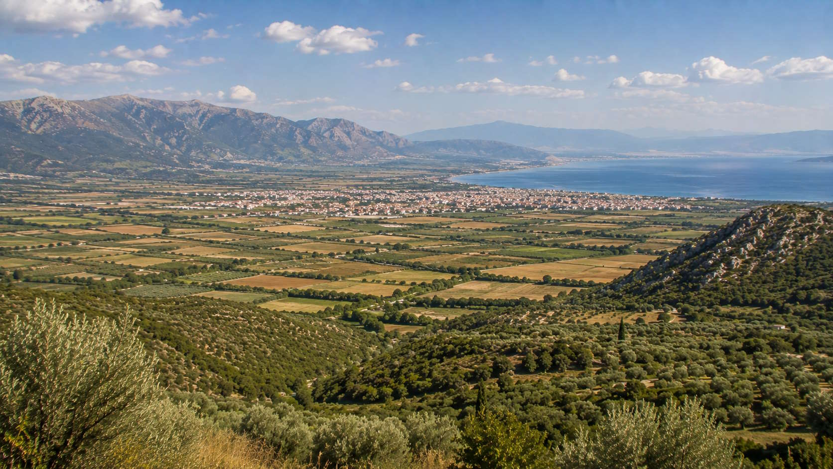 Coastal plain, olive groves and mountains of Fthiotida, Greece