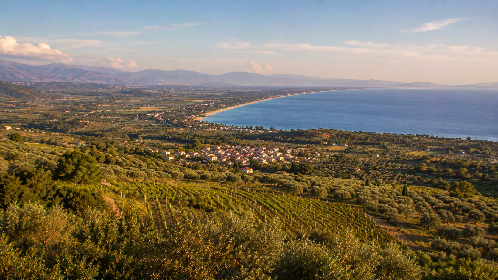 Olive groves, vineyards and coastal landscape in Ileia, Greece