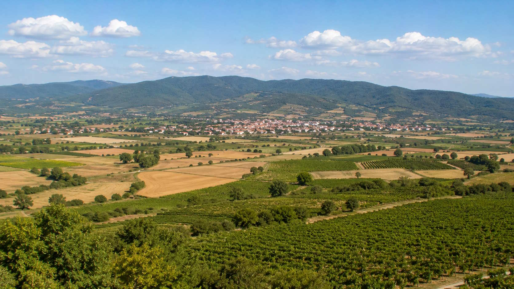 Fertile farmland, vineyards and rolling hills in Kilkis, Greece